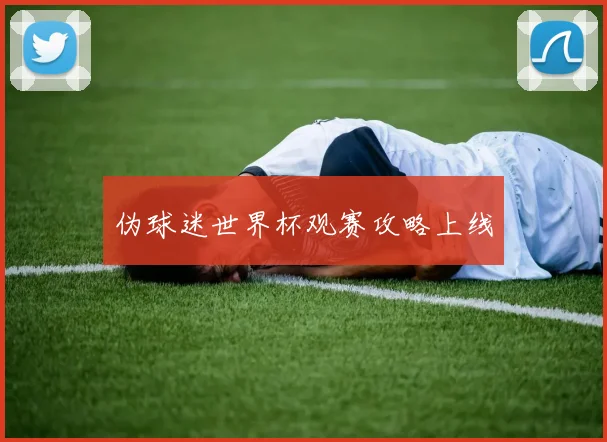伪球迷世界杯观赛攻略上线