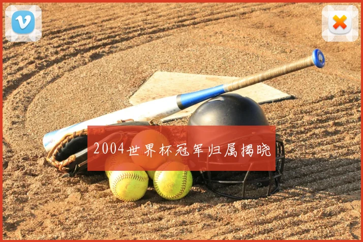 2004世界杯冠军归属揭晓